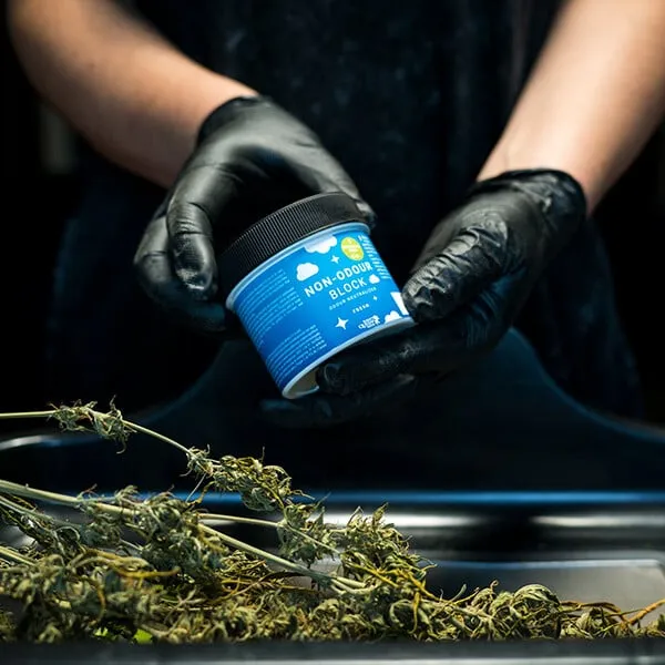 Royal Queen Seeds Εξουδετερωτής οσμής κάνναβης