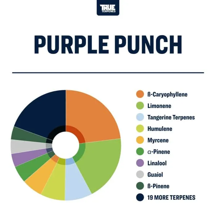 True Terpenes Flavor Infused Purple Punch (5 ml - 960 ml)
