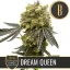 Blimburn Seeds Graines de cannabis Dream Queen par Steve DeAngelo's Féminisées