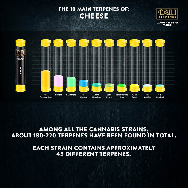 Cali Terpenes - Formaggio, 1 - 1000 ml