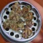 Blimburn Seeds Cannabiszaden Blue Dream Gefeminiseerd
