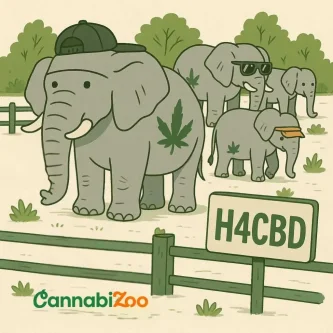 Illustrated elephants in an enclosure with an H4CBD sign, accompanied by the CannabiZoo logo
