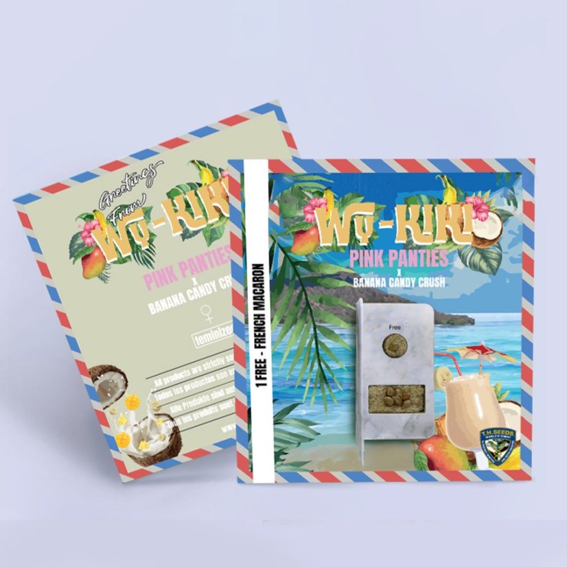 T.H.Seeds™ Cannabisfrø Wy-Kiki, 6+1 specialpakke, feminiseret