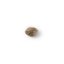 The Bulldog Seeds TB Kush Feminized, 3 ir 5 vnt