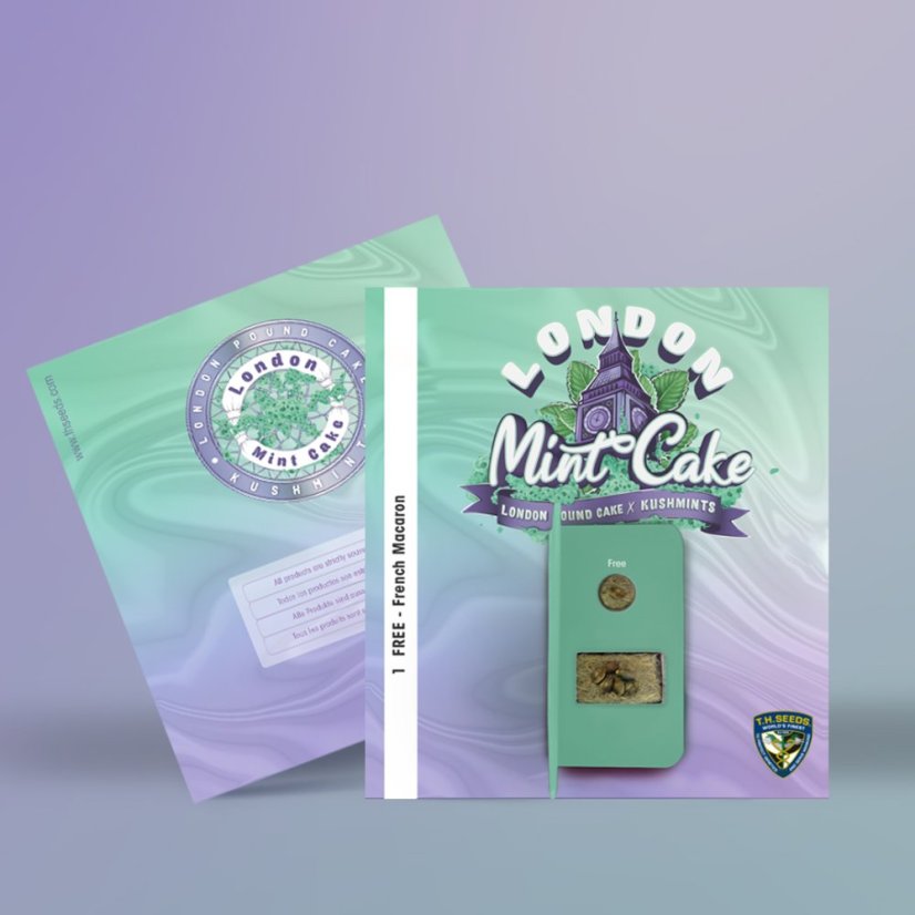 T.H.Seeds™ Seminte de canabis London Mint Cake, 6+1 pachet special, feminizat