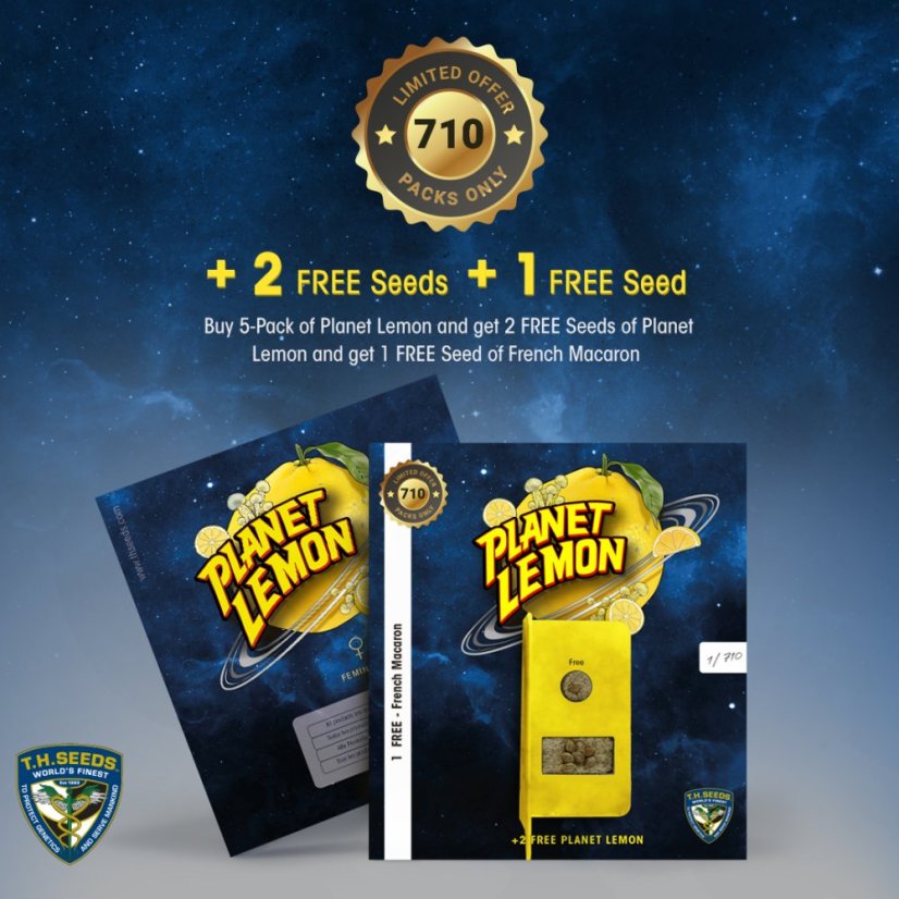 T.H.Seeds™ Semințe de canabis Planet Lemon, pachet special limitat 710, feminizate
