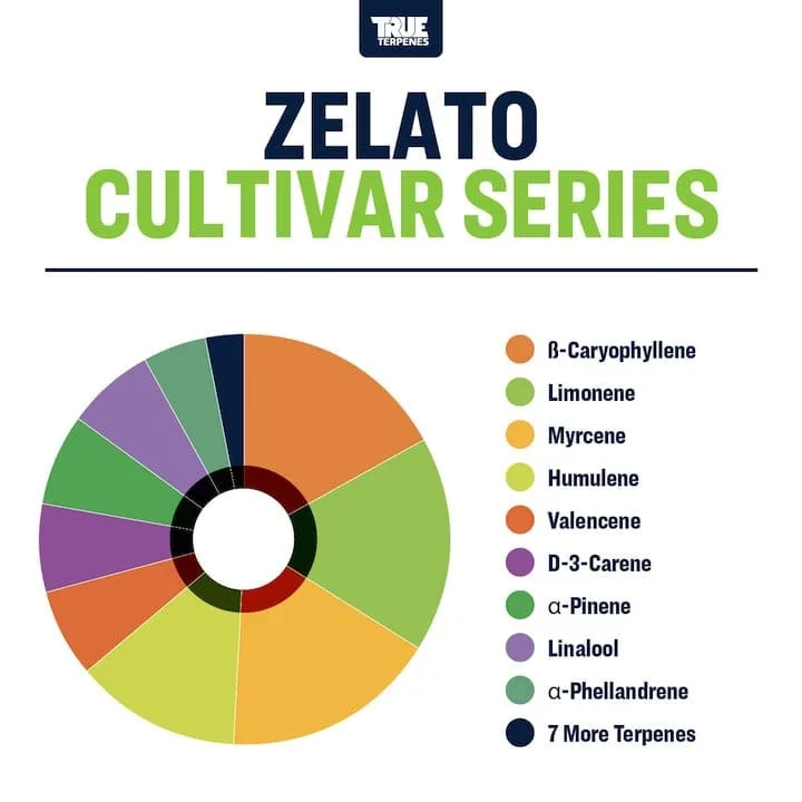 True Terpenes Cultivar Series Zelato (5 ml - 960 ml)