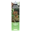 Canntropy CBNO Einweg-Vape-Pen Sour Tangie, CBNO 94% Qualität, 1 ml