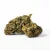 Euphoria CBD Weed Platinum Euphoria Citric, 0,7 g
