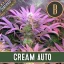Blimburn Seeds kanapių sėklų kremas Auto