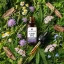 Herbican Olio CBD a spettro completo, 30%, 10 ml