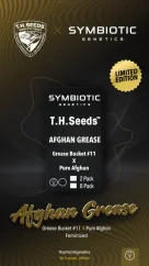 T.H.Seeds™ X Symbiotics Cannabis Seeds Afgan Grease, nőiesített