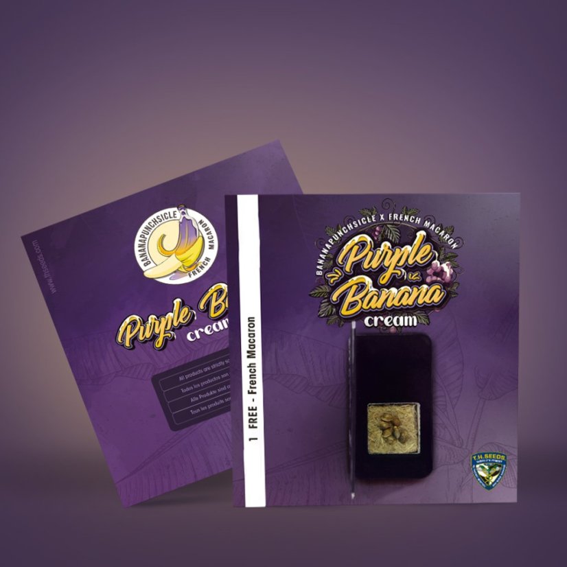 T.H.Seeds™ Seminte de canabis Purple Banana Cream, 6+1 Pachet special, feminizat