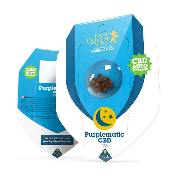 Royal Queen Seeds Cannabis Seeds Purplematic Auto (korkea CBD)