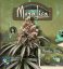 T.H.Seeds™ Seminte de canabis Mona Lisa, pachet special 6+1, feminizate