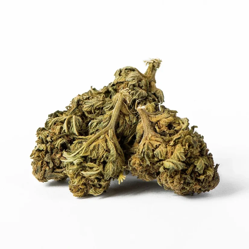 Euphoria CBD Weed Euphoria Citric, 100 g