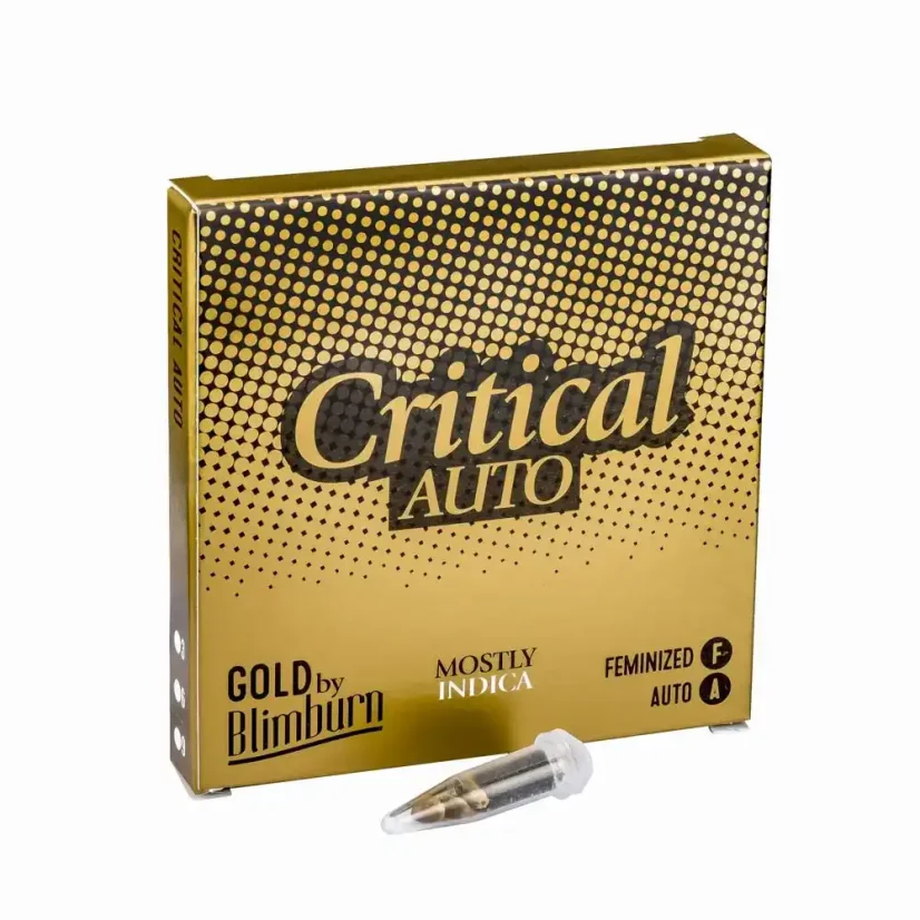 Blimburn Seeds Cannabis Seeds Critical Auto