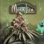 T.H.Seeds™ Seminte de canabis Mona Lisa, pachet special 6+1, feminizate