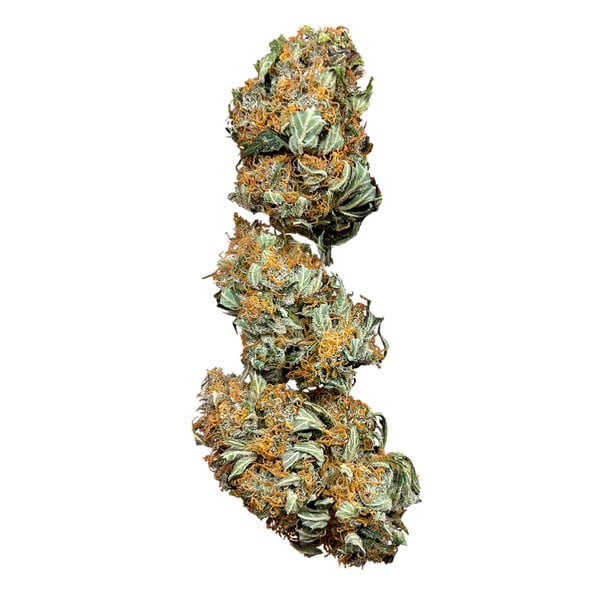 Royal Queen Seeds Tort de nunta Seminte de Canabis Feminizat