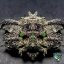 T.H.Seeds™ Cannabis Seeds Bastards Line: Black Apple Hitchcock, 6+1 specialpack, feminiserad