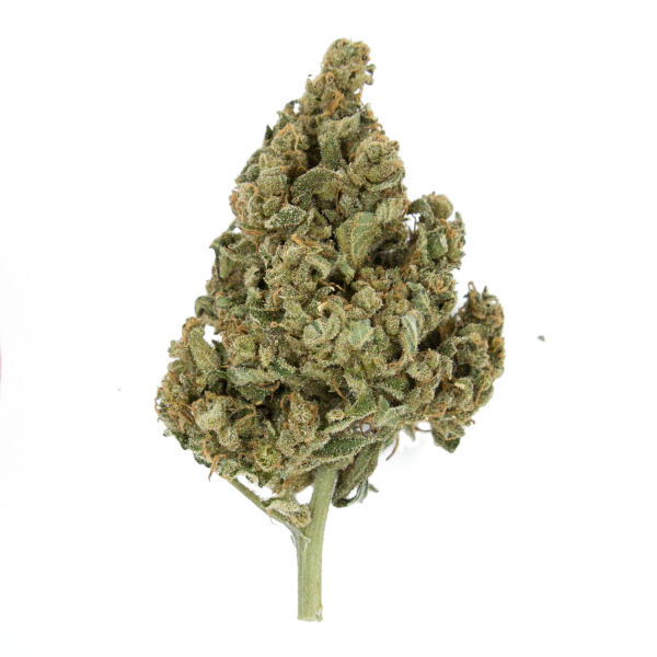 Royal Queen Seeds Semințe de canabis Lemon Shining Silver Haze feminizate