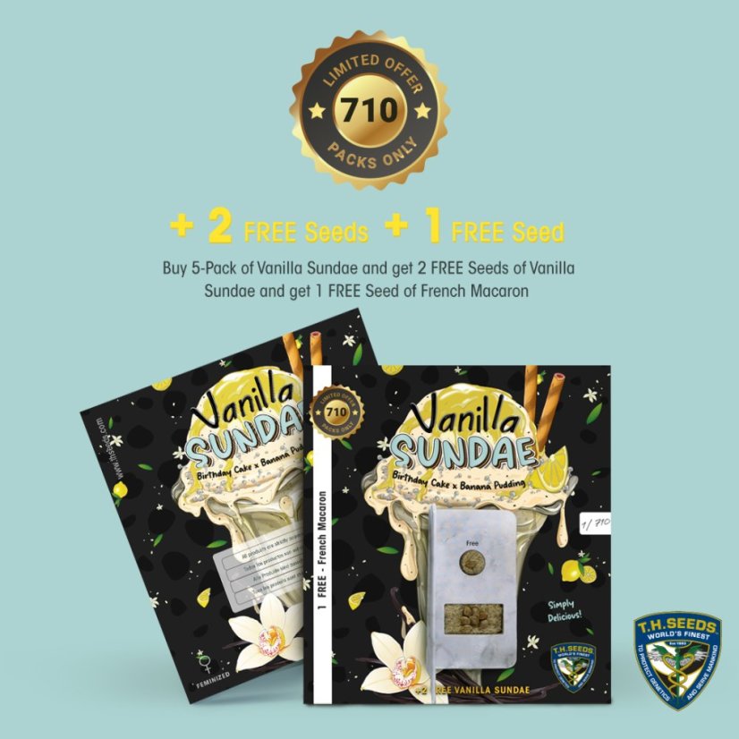 T.H.Seeds™ Seminte de canabis Vanilla Sundae, 710 Limited Special Pack, feminizate
