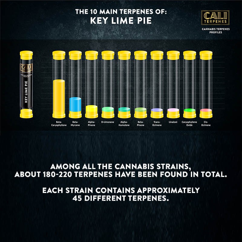 Cali Terpenes - Tarte au citron vert, 1 - 1000 ml