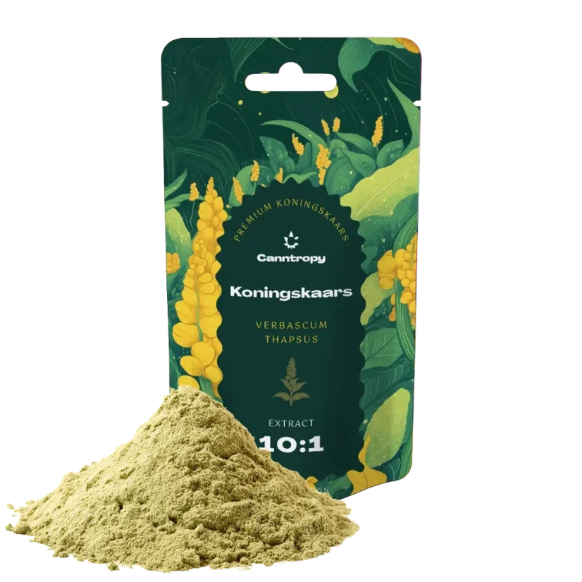 Canntropy Koningskaars (Verbascum thapsus) Extrakt 10:1, 5 g – 100 g