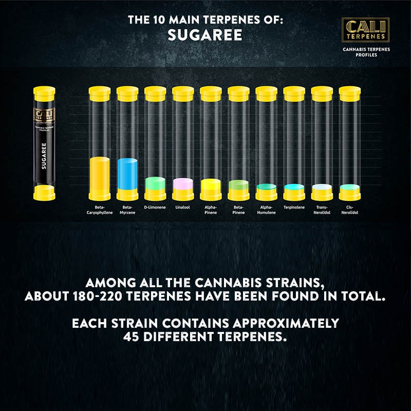 Cali Terpenes - SUGAREE, 1 - 1000 ml