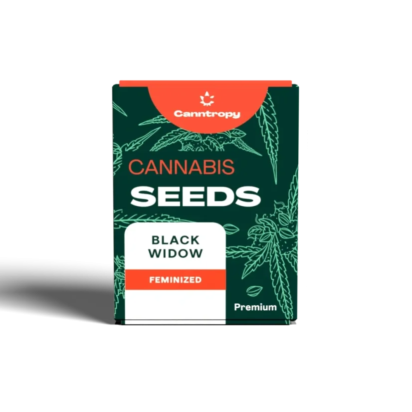 Canntropy Seeds Black Widow (feminiserad)