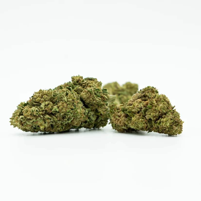 Northern Light üvegházi virág 11 % CBD, 1 g - 100 g