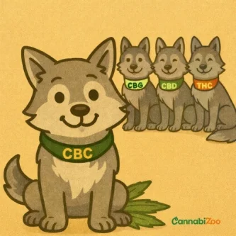 CBC jako vlk ve smečce, vpravo dole logo CannabiZoo
