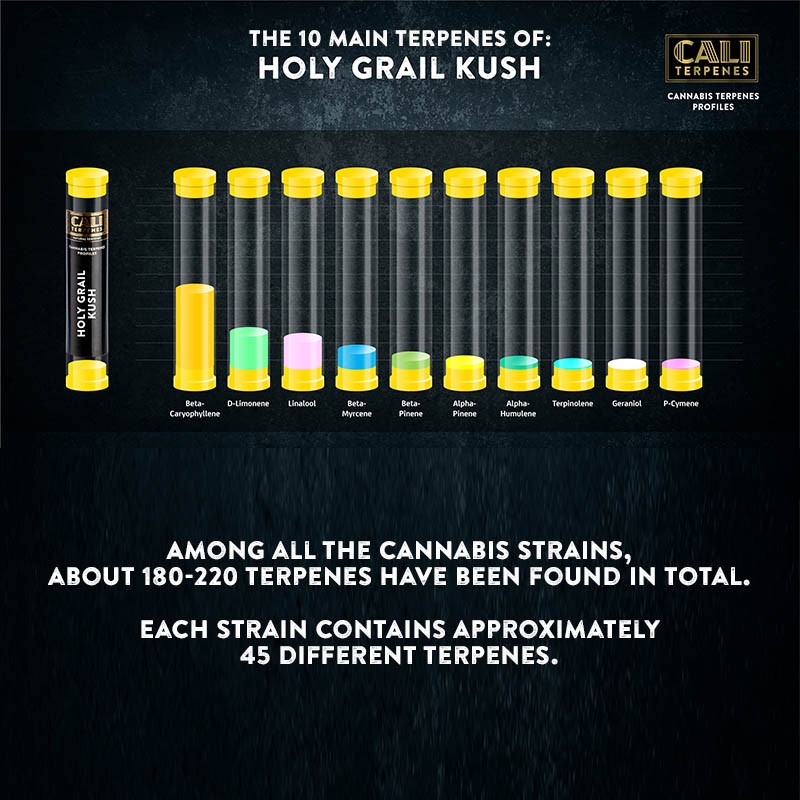 Cali Terpenes - SZENT GRÁL KUSH, 1 - 1000 ml