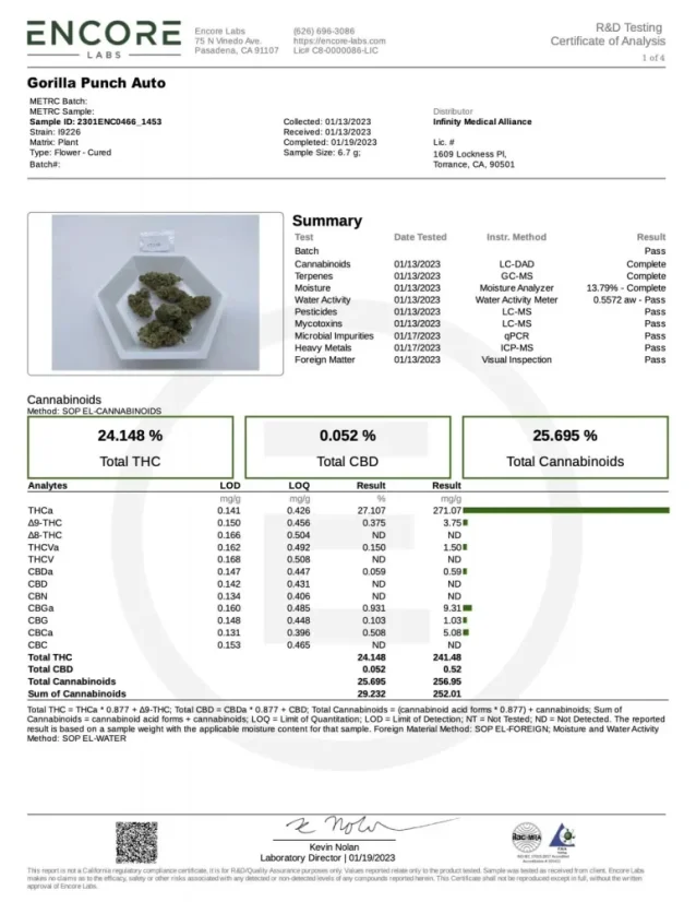 Fast Buds Cannabis Seeds Gorilla Punch Auto