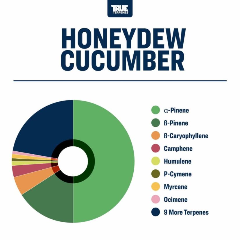 True Terpenes Honungsgurka (5 ml - 960 ml)