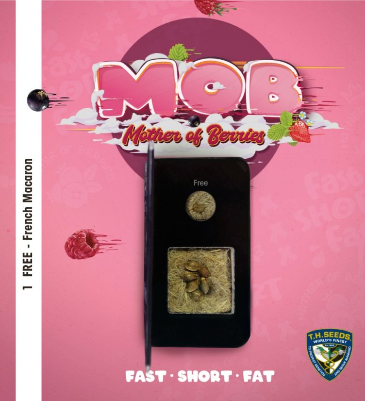T.H.Seeds™ Cannabis Seeds MOB™, 6+1 specialpakke, feminiseret