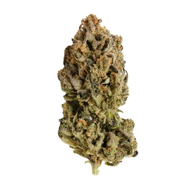 Royal Queen Seeds Cannabis Seeds Royal Highness Feminized (korkea CBD)