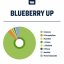 True Terpenes Blueberry Up (5 ml - 960 ml)
