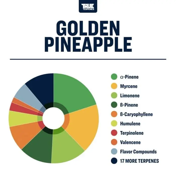 True Terpenes Ananas auriu cu aromă (5 ml - 960 ml)