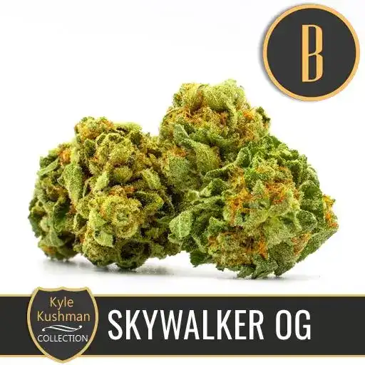 Blimburn Seeds Cannabis Seeds Skywalker OG от Feminized на Kyle Kushman