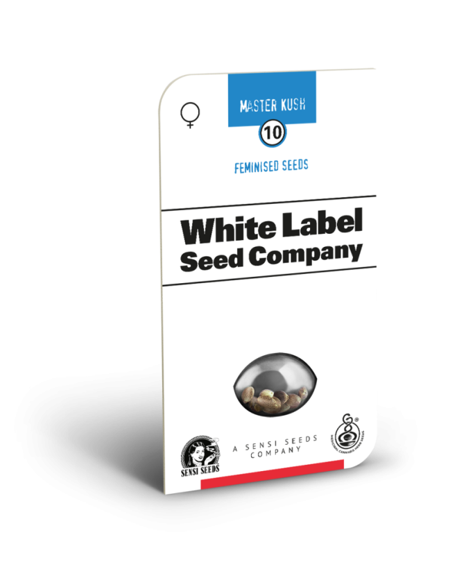 Sensi Seeds Cannabis Seeds Master Kush Feminiseret af White Label, 3-10 stk.