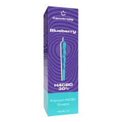 Canntropy H4CBD Prerolls Blaubeere, 30 % H4CBD, 1 g