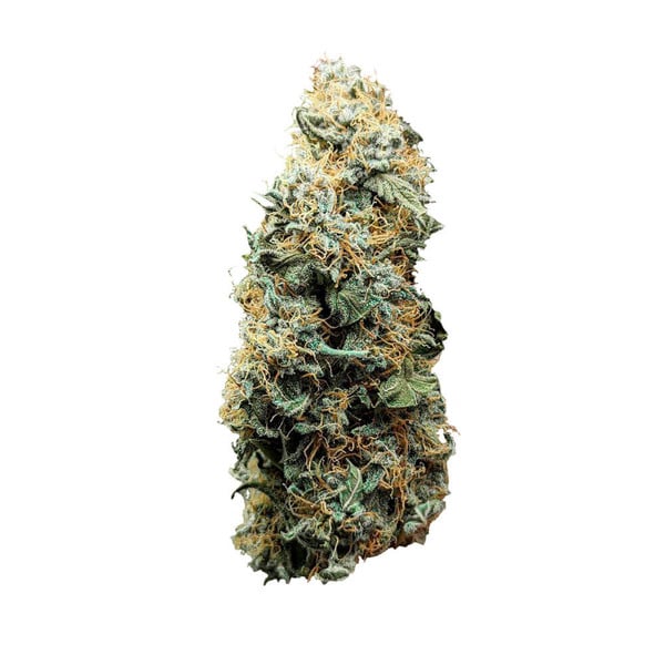 Semințe de canabis Royal Queen Seeds Titan F1 Auto