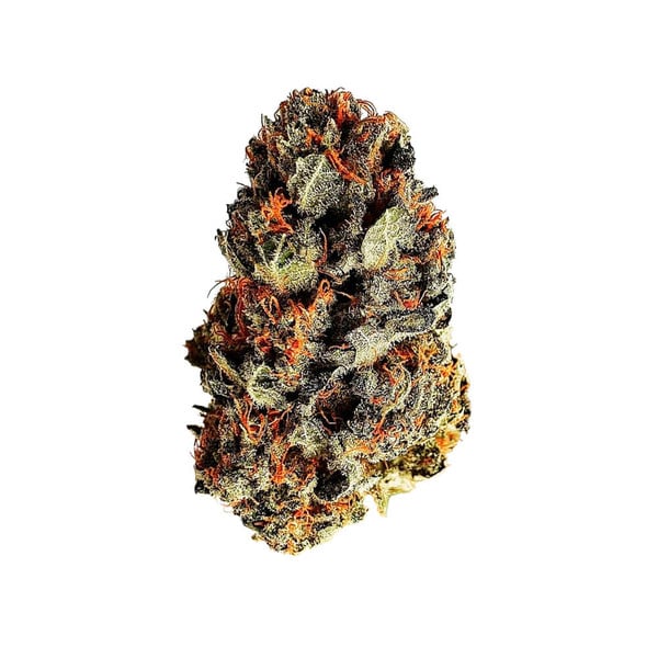 Royal Queen Seeds Cannabis Seeds Dance World Feminized (korkea CBD)