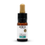 Nature Cure CBG-Öl 5% CBG, 500 mg, (10 ml)