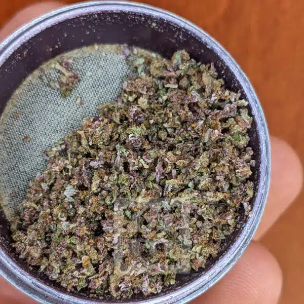 Blimburn Seeds Cannabiszaden Blue Dream Gefeminiseerd