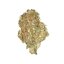 Royal Queen Seeds Semințe de canabis Quick One Auto