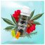 Cali Terpenes Terps sprej - HOLY GRAIL KUSH, 5 ml - 15 ml