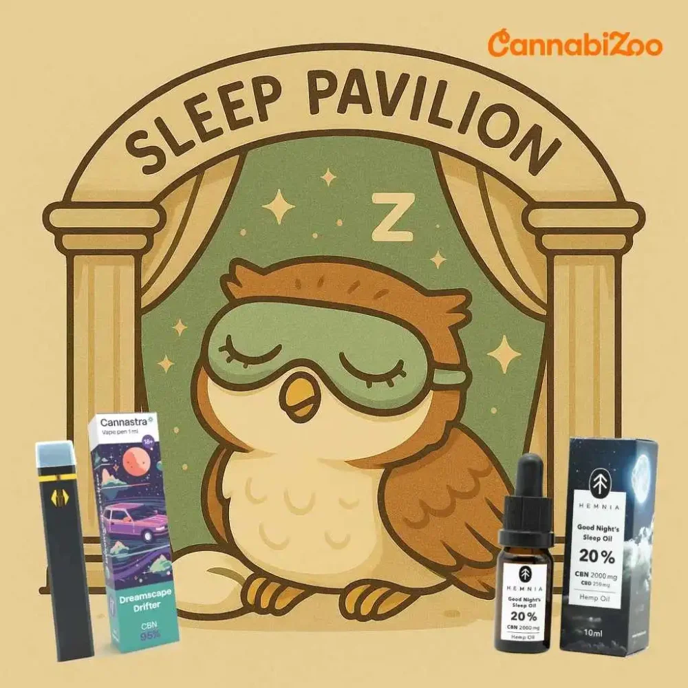 The effects of CBN on sleep – an owl in the CannabiZoo sleep pavilion with Hemnia CBN oil and a Cannastra vape pen for better sleep and deeper rest