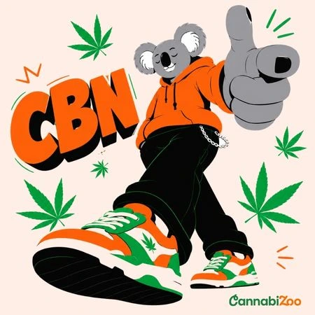 Un koala, les lettres CBN, et des feuilles de chanvre autour ; le logo CannabiZoo en bas à droite